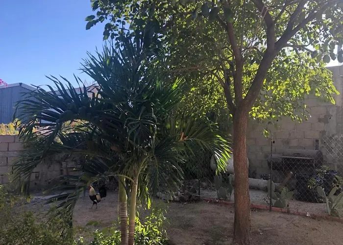 Kbo 4* Cabo San Lucas
